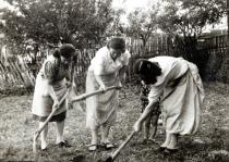 Hana Gasic's mother Flora Montiljo during a post-war work action with neighbors
