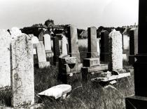 The graves of Gabor Paneth's paternal grandparents in the Papa Jewish cemetery