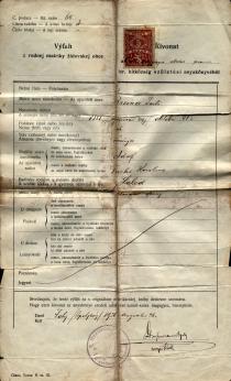 Birth certificate of Peter Reisz's grandfather's sister Julia Breiner