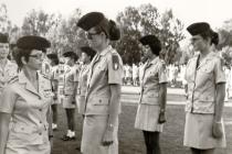 Ceremonial army review in the Israeli army